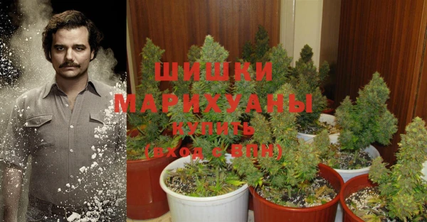 стафф Вязники