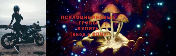 гидропоника Горнозаводск