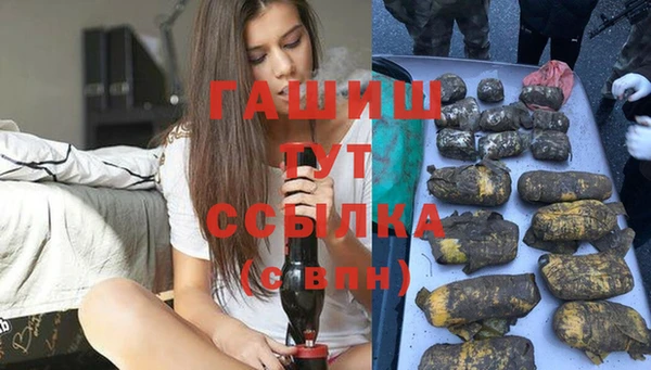 гидропоника Горнозаводск